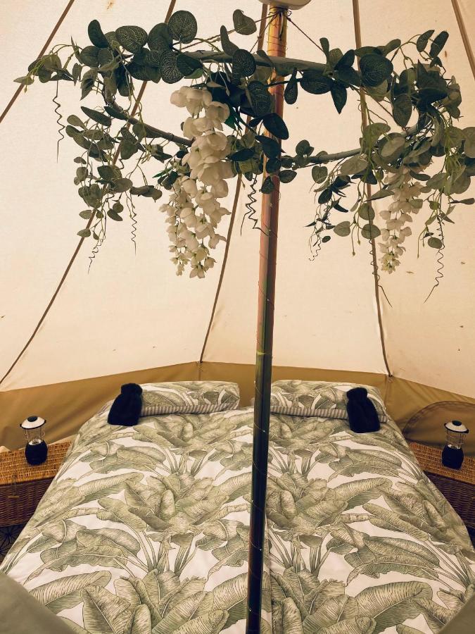 Duneden Belle Glamping Hotel Randalstown Ngoại thất bức ảnh