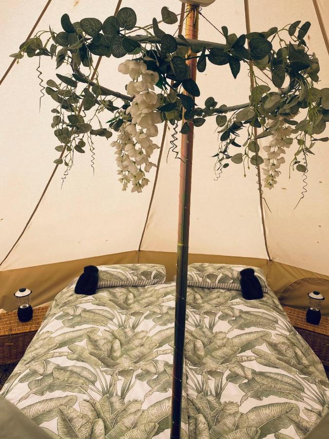 Duneden Belle Glamping Randalstown Ngoại thất bức ảnh
