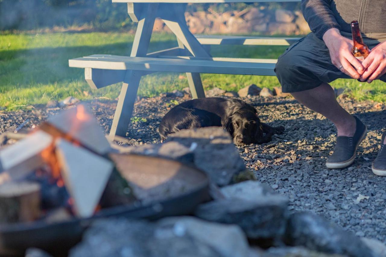 Duneden Belle Glamping Randalstown Ngoại thất bức ảnh
